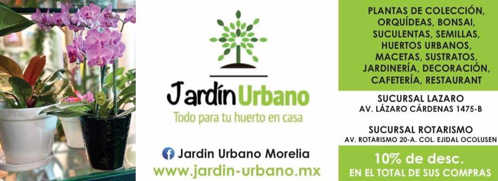 10% de Descuento en el Total de la Compra